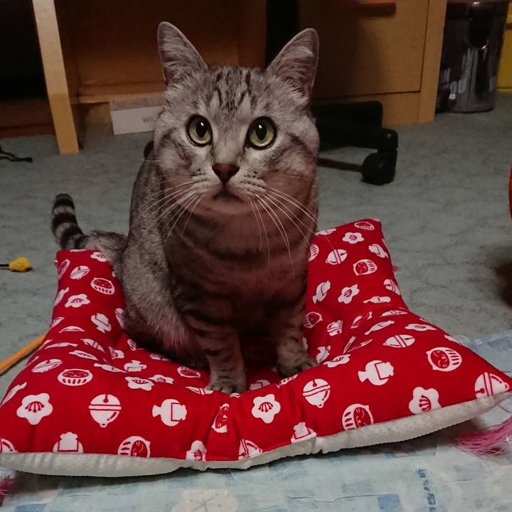 927eb989 4145 4801 be41 265b9519a26b 1572337223285