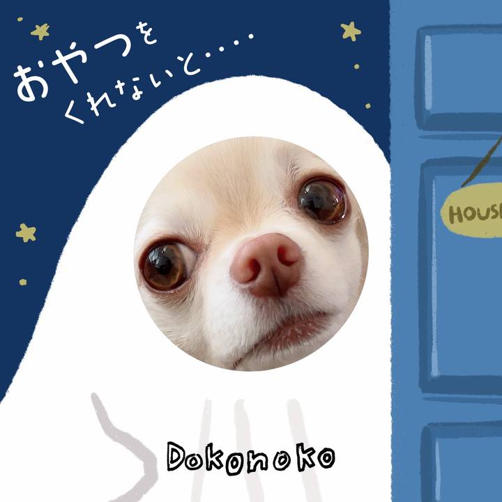 927ebd4d b497 4bfa a01e 267af084803e 1729233409054