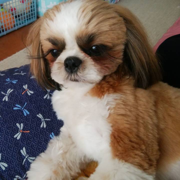 927ecb96 3c33 435d a6e8 0a8ebe4472f5 1556600055689