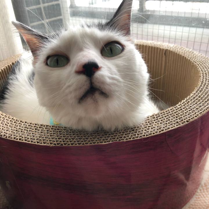 927effb8 3f45 4014 a375 bc96d8f767d4 1533768440354