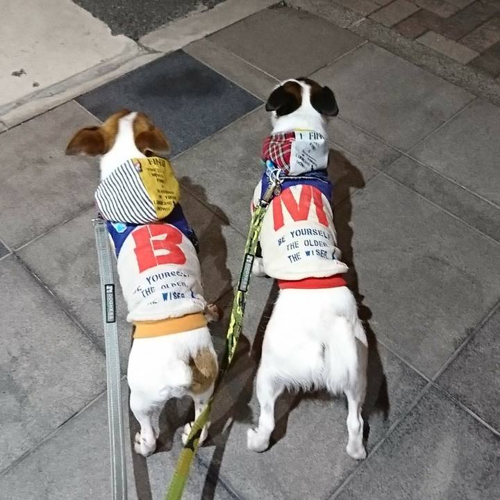 927f17a2 f8af 4f4b 94a5 23c0cc647201 1531658955469