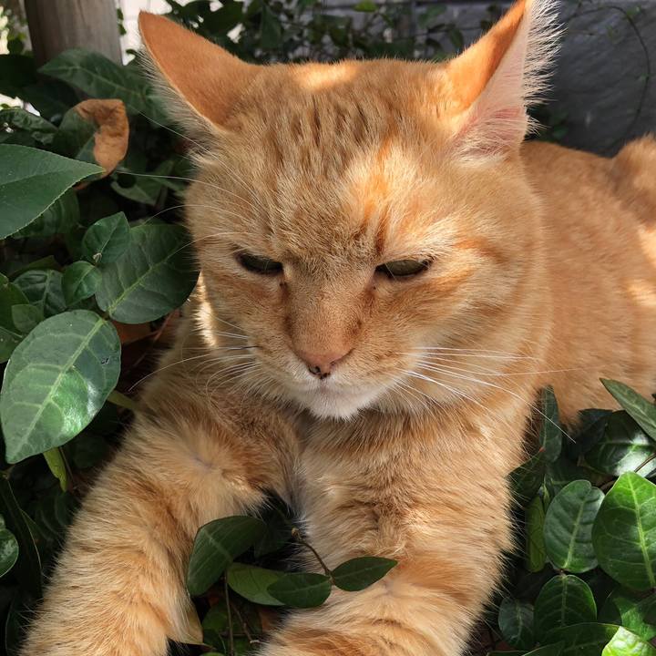 927f44e7 fa5d 443b a94d a1b1fcaf29fb 1540733638292