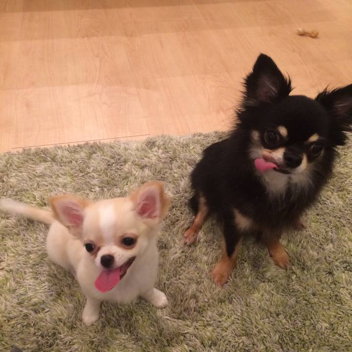 927f55c7 c7c4 47b5 8857 a87ba62bd3f4 1507766589086