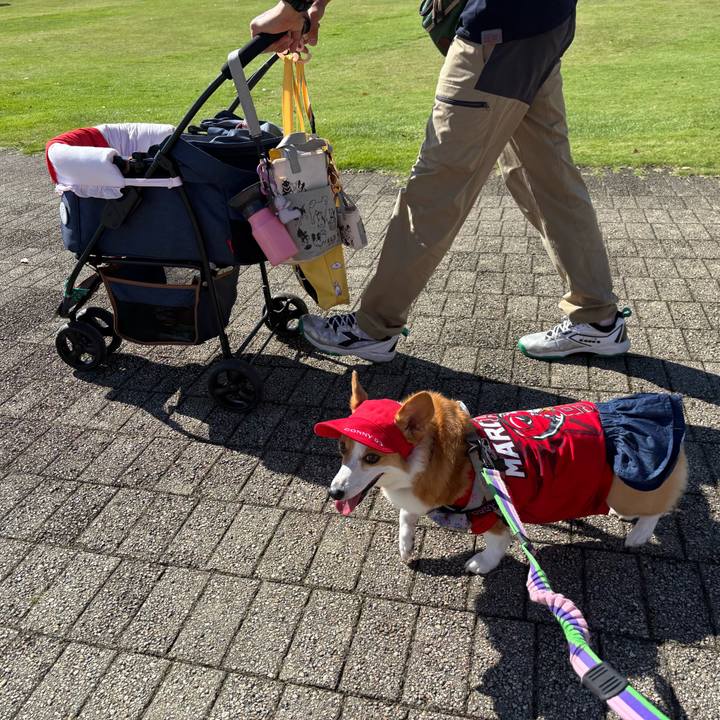 927f6a84 35b3 4f82 b659 085b766daf6d 1758860476326