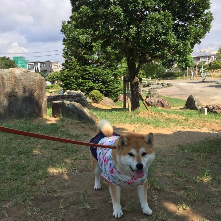 927fb391 4096 421c 9174 a9f298095048 1565482125882