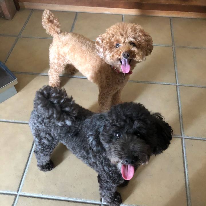 928005f7 e828 4073 9bdb d973c4376c07 1599654180628