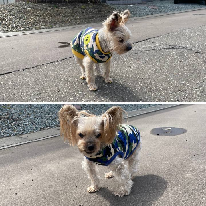 928019bb ada7 40fb 8a4c ecb4434e7706 1681121229569