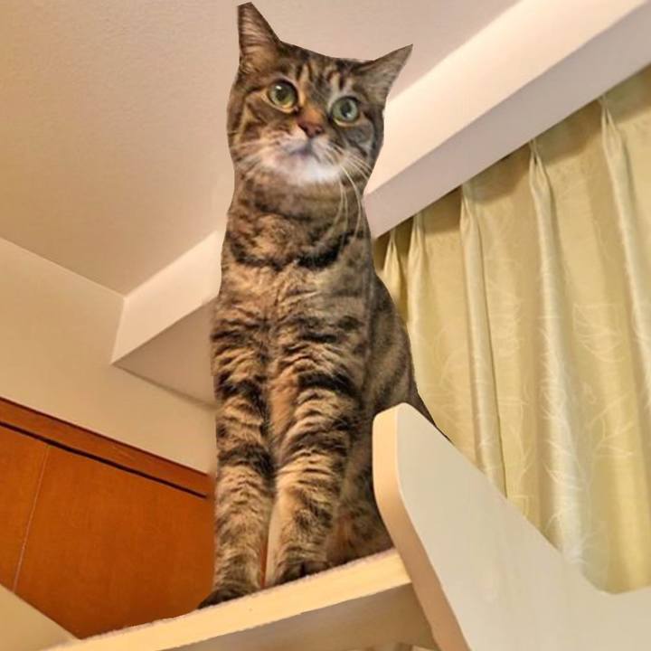 92803e27 af5a 497c b76f 5747d11ff862 1772454319935