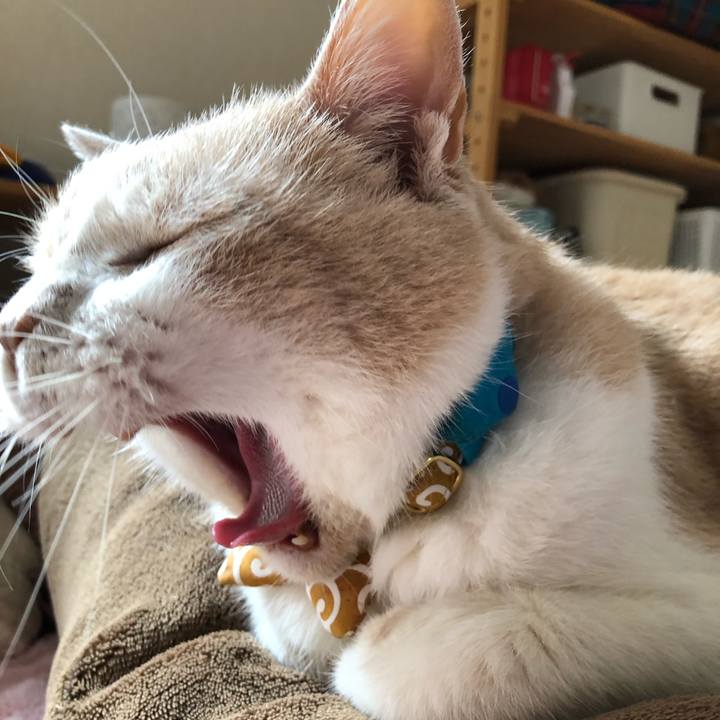 928060b9 f298 4641 a1c9 4a879b8e867b 1596149864562