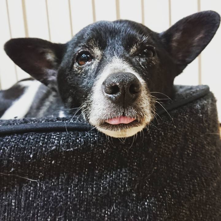 928067dd c405 44ba b1ba 2782b6d3f120 1616680113778