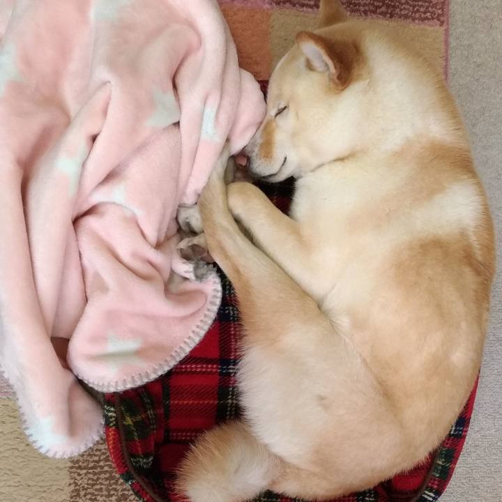 9280697a dd23 4065 9926 0a2cb6cbc68e 1553470171185