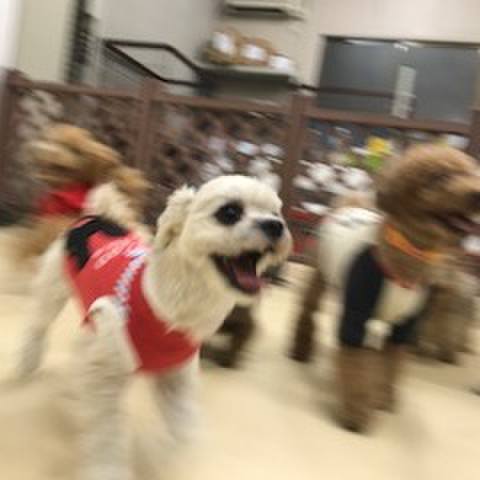 9280baf0 7ec9 4740 9a6c 7cf88651667d 1516185187098