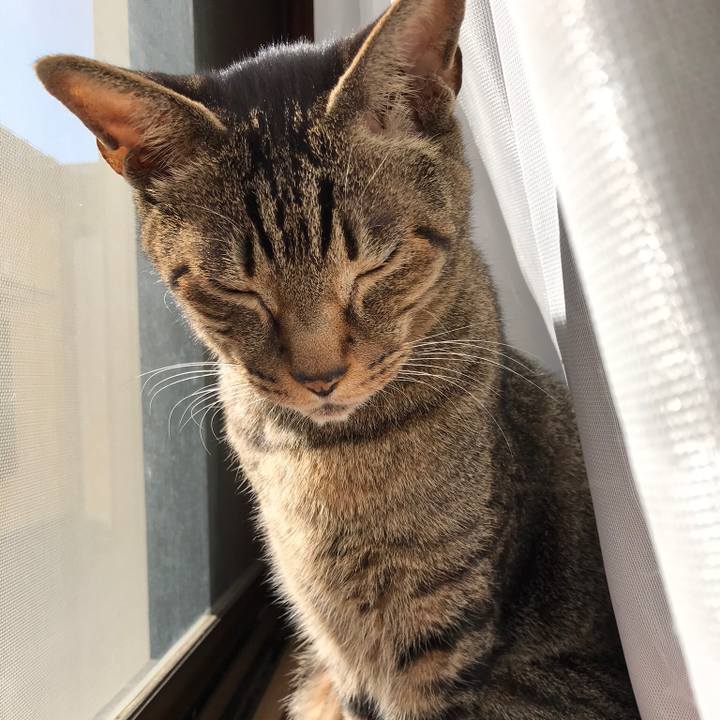 9280ce0c 3bf2 44bd aceb 419513df1e22 1519867873442