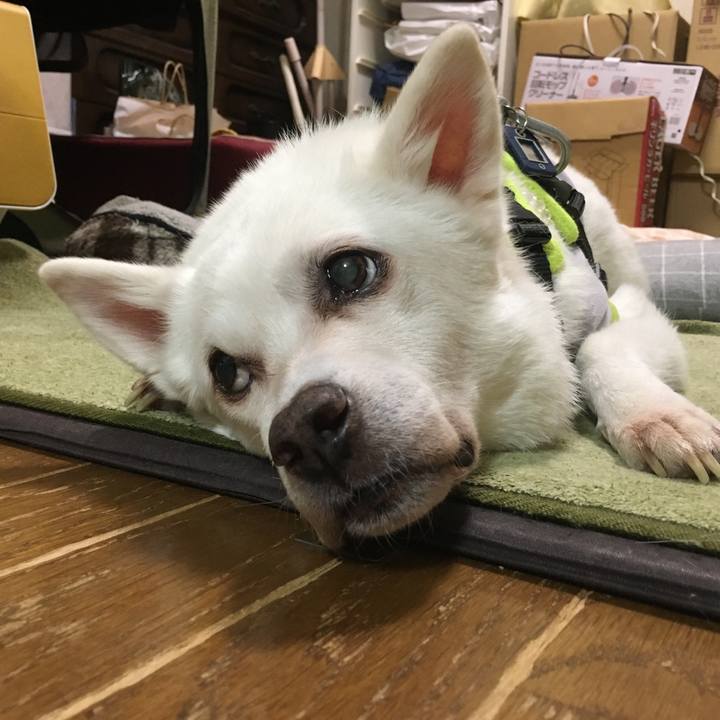 92814df7 5f92 4f94 8f15 4b94ebdb45d8 1531786482680