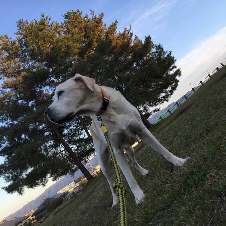 92815cc6 c423 42b8 ae17 50c1a1b7f41d 1554181634232