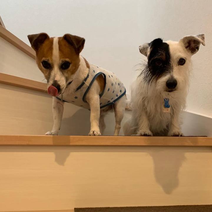 9281990f 85b2 4317 8781 78fc3595e8ed 1696334959108