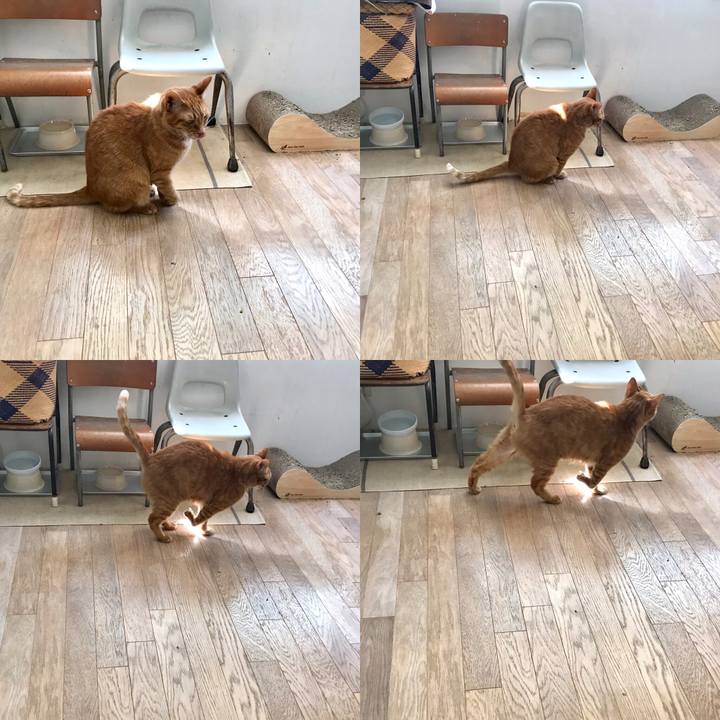 9281f108 0102 4867 9176 beb1c358cc4a 1554267135903