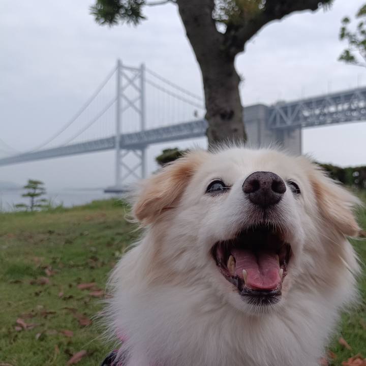 92821009 d925 4d73 b9da 20cad0438373 1718495268332