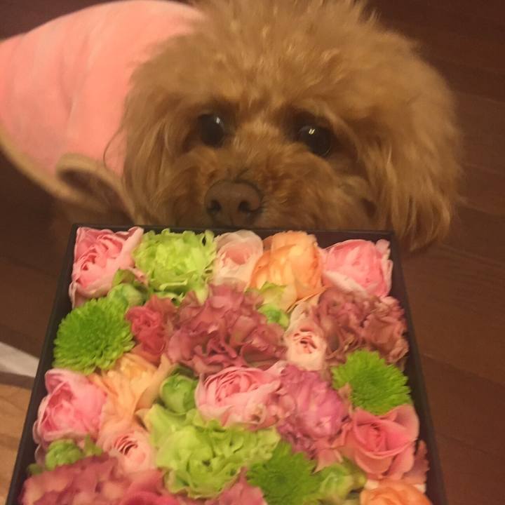 92823b8d e8f2 4964 a9f2 fb46e4860e39 1516696985057