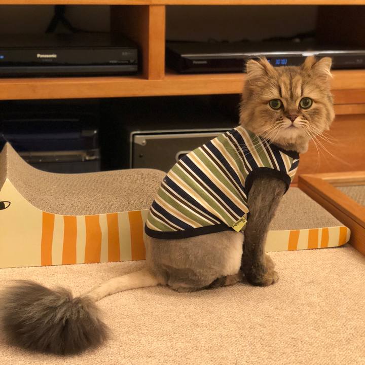 92823f51 27df 476f 9d82 8f40c8b62a2f 1523789979108