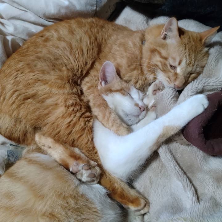 928249cf 1fbd 4bc5 98f5 0b49ac929cfa 1744622437131