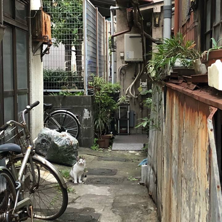 92825800 59da 408f bd53 679e40ce4f9c 1570465923877