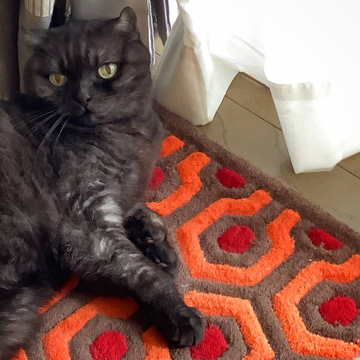 92826149 5efc 4cd2 8e1e 31e4b3975be9 1566351503267