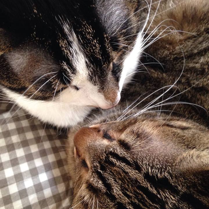 92828118 5018 4d72 93d8 99558f979d46 1509413317004