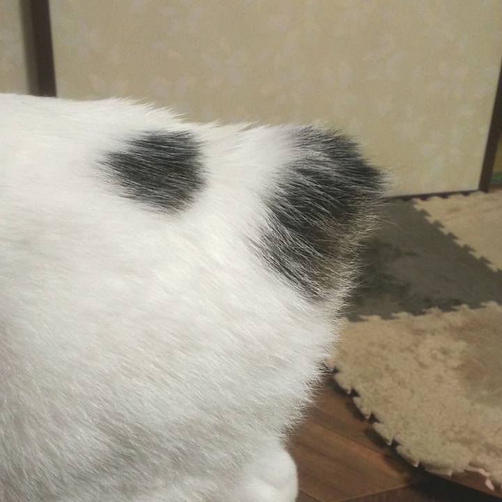 92828560 ae3e 4706 a0b1 458cd5838087 1560694869995