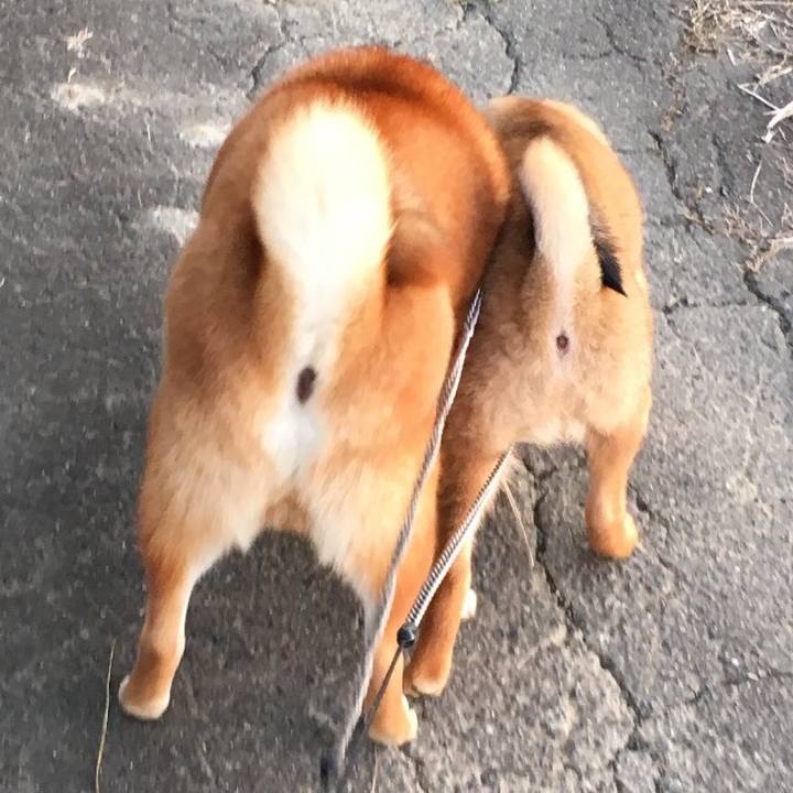 92829b09 8fe0 47a5 a5ea 5398a7dc662e 1514498028428