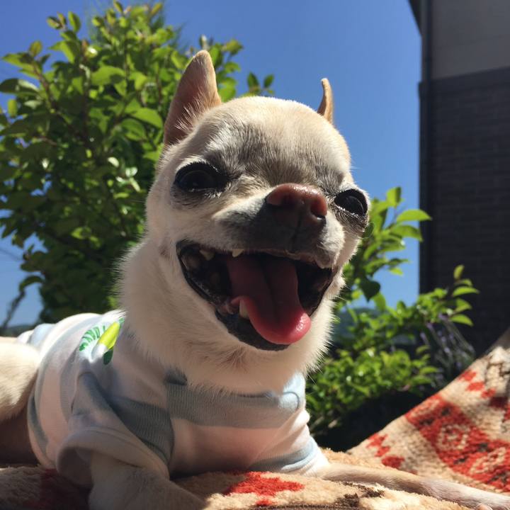 9282aaaf 1335 425d b244 eba3bc630d73 1774174941569