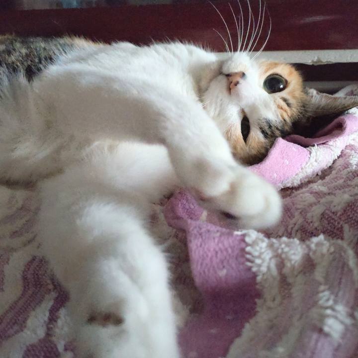 9282ac8c 9554 42f6 91fa 3e50b3dc3041 1714864865465