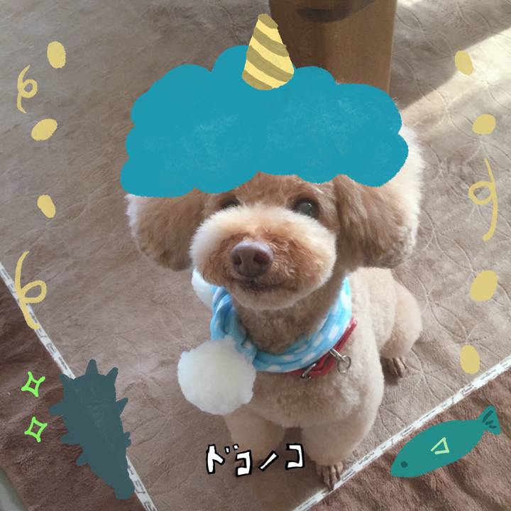 9282c153 a71e 4e1f bb2f 6e994c1d2817 1706763222691