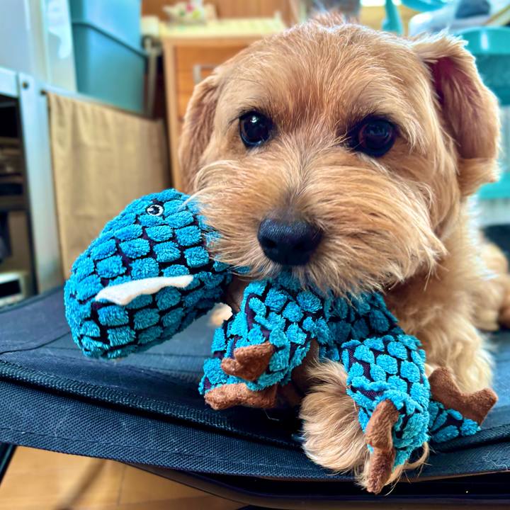 9282dac0 cceb 482b bf97 7f4aa4bc0f43 1763814934077