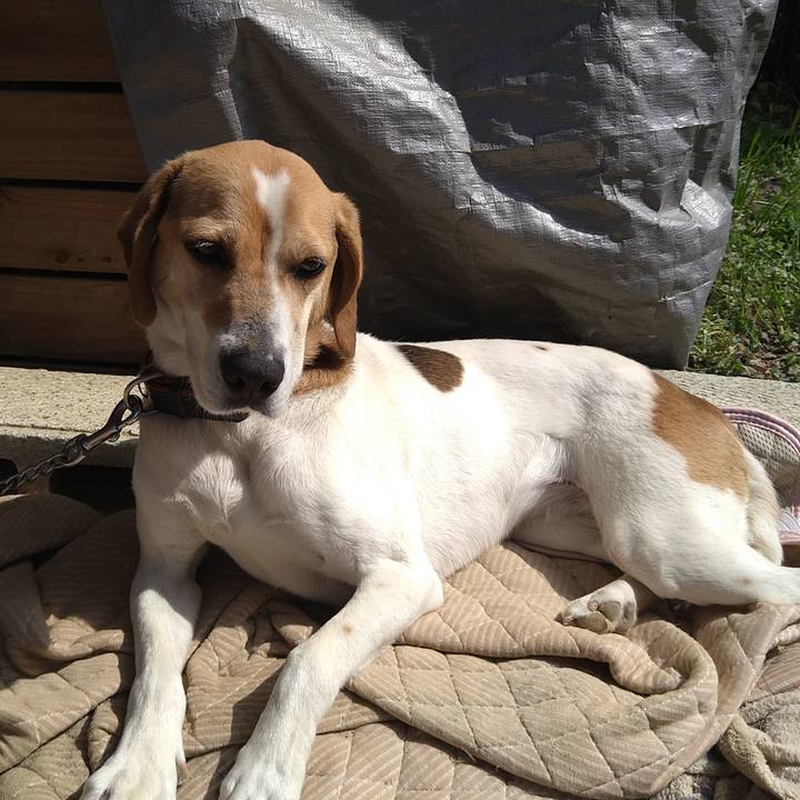 9282eb1d 793b 4e5b b802 a99d86d111a2 1660735317547