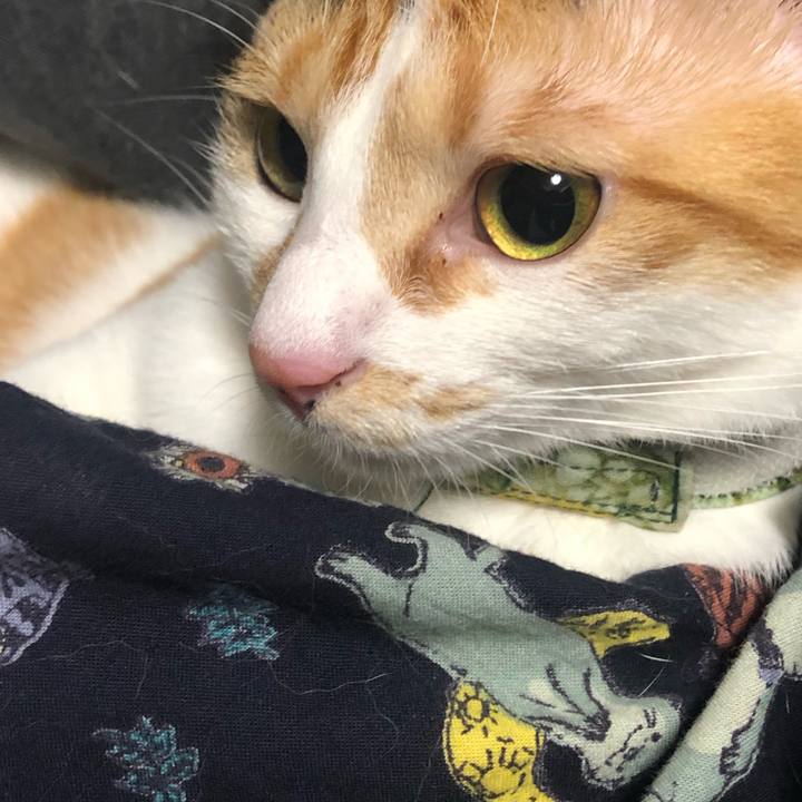 9282f894 f26f 4135 9161 44ae5705a4dc 1596280527926