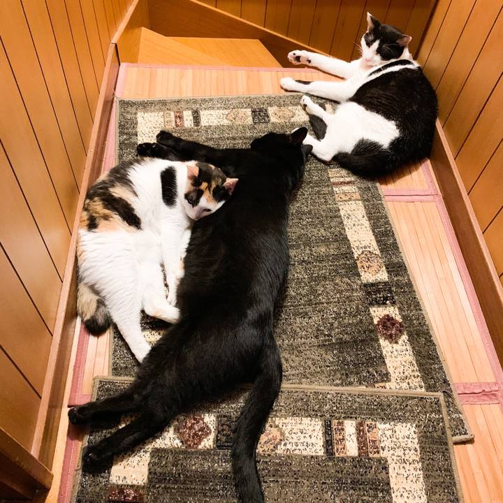 92830cd0 e20c 49ba 9847 c0b8f65a9920 1571016715659