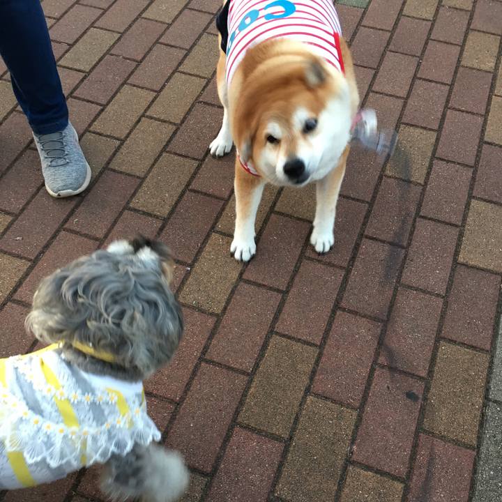 92835ba9 9204 4877 a9cf ff3260f8be11 1569490835306