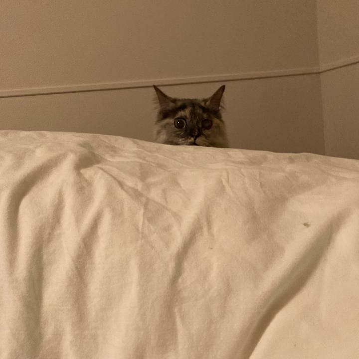 92839079 844f 430e b734 aea32978b562 1773059482177