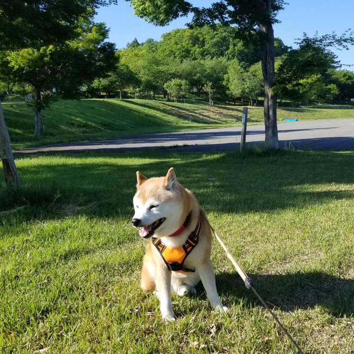 9283c8f2 b052 44c1 98b0 033b4f85e109 1715671185208