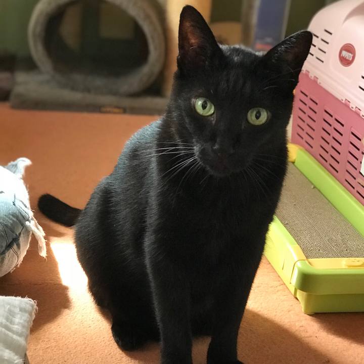 9283e531 105e 461e 80cb 2eeea00a10c2 1537147661624