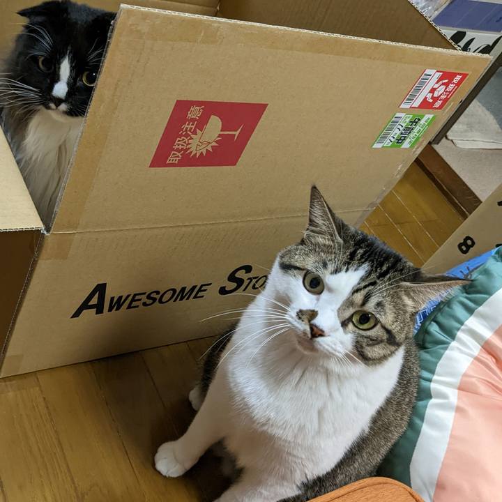 9283ff53 48ef 4d92 abf5 b909fb41ece3 1668134174724