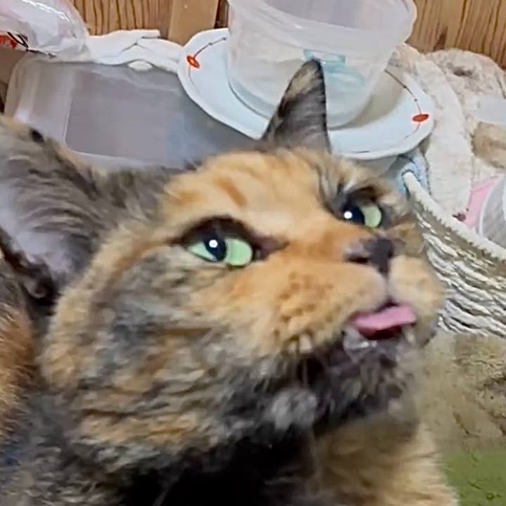 9284240d 598a 4965 9cc4 5e2835b8755e 1757281395379