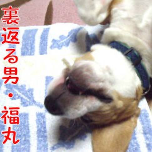 92849778 28ee 4eaa 8572 9cf7aed8553d 1718496360442