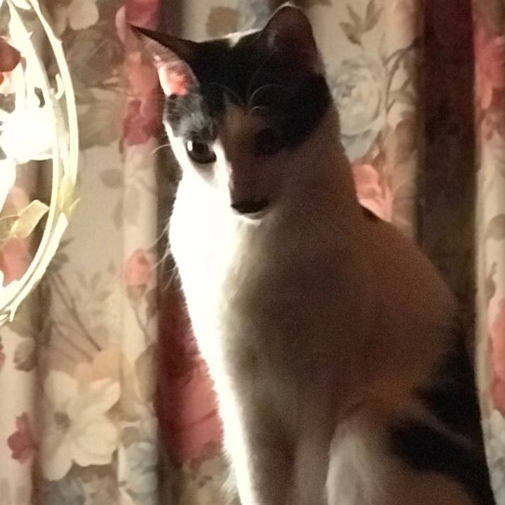 92849a1f 48e8 4557 80dd ff5f44cd71f2 1513271650781