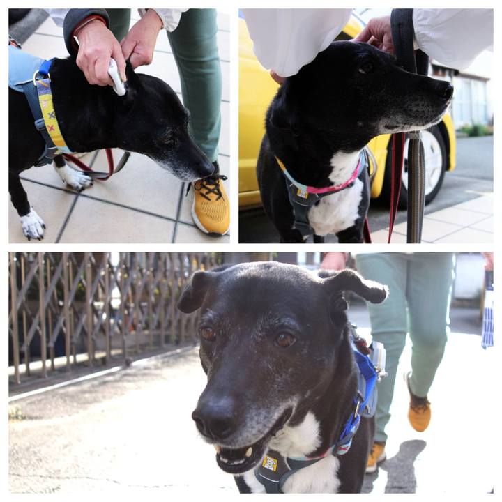 9284b3c2 2442 466d 9632 66fd18384c01 1744677135310