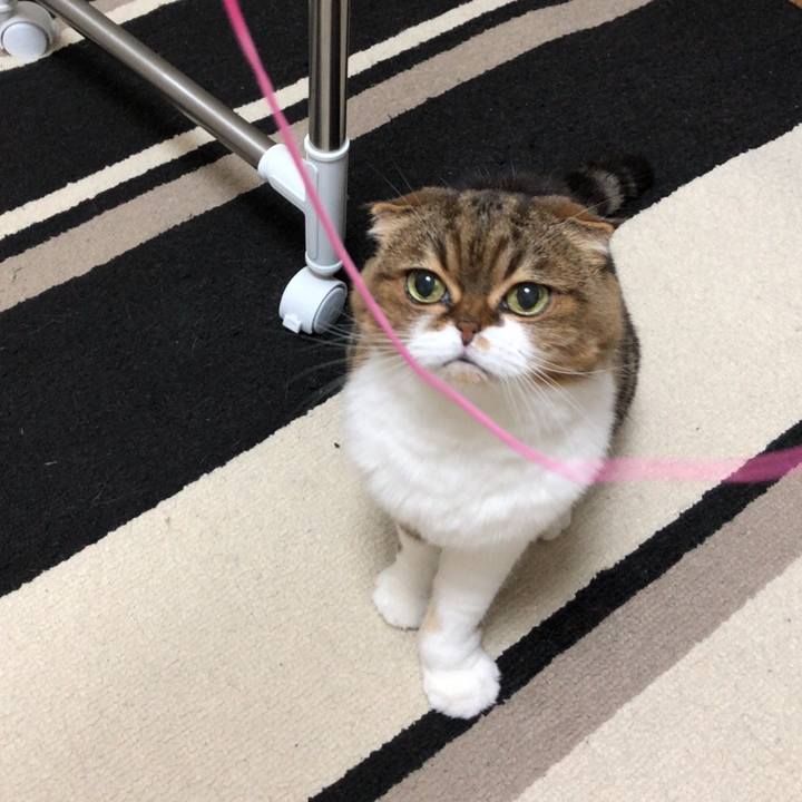 9284bbc4 74ed 4215 868b 16b836bddf9e 1543765055481