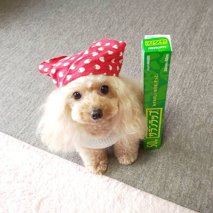 9284d5df 698e 4a0e 84e1 48ec31e305ca 1584967187679