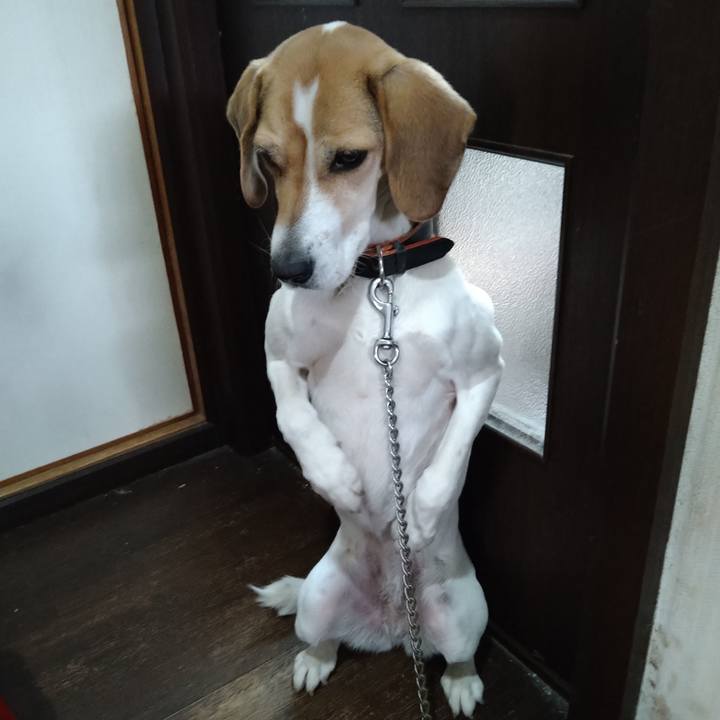 92850f25 34c3 40ba a2e6 bc6ec28bd198 1640584738685