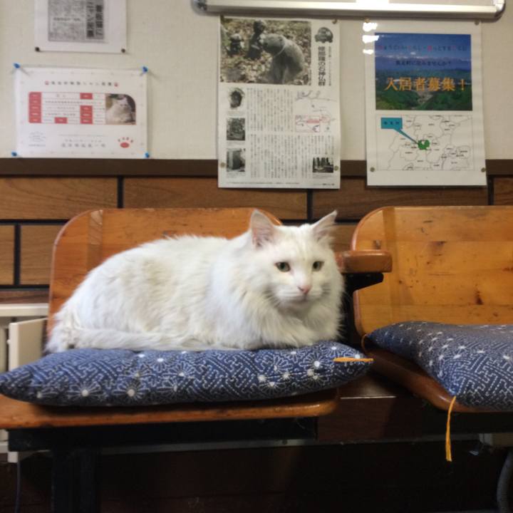 92852d27 8fab 48a7 93ca 6db745b23fac 1514154241100